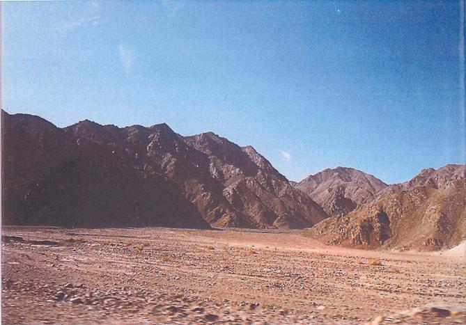 Sinai - Deserto - 1990